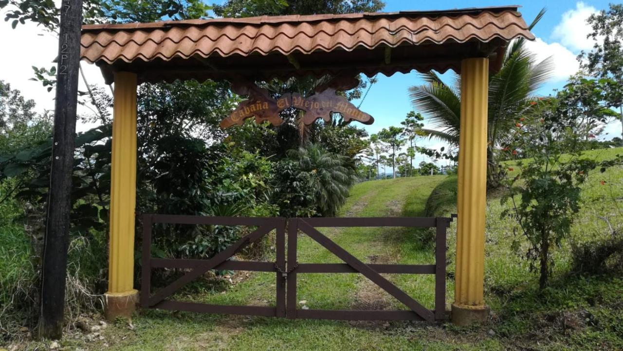 Cabana El Viejo Del Monte Venecia Exterior foto